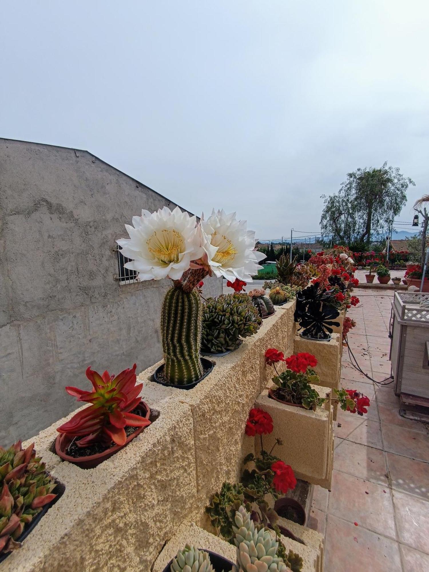 Casa Venta Ruizo Casa vacanze