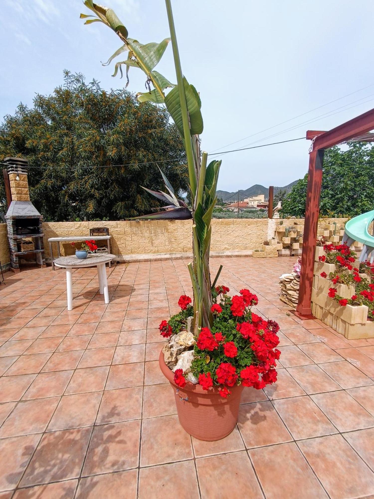 Casa Venta Ruizo Casa vacanze Lorca (Murcia)