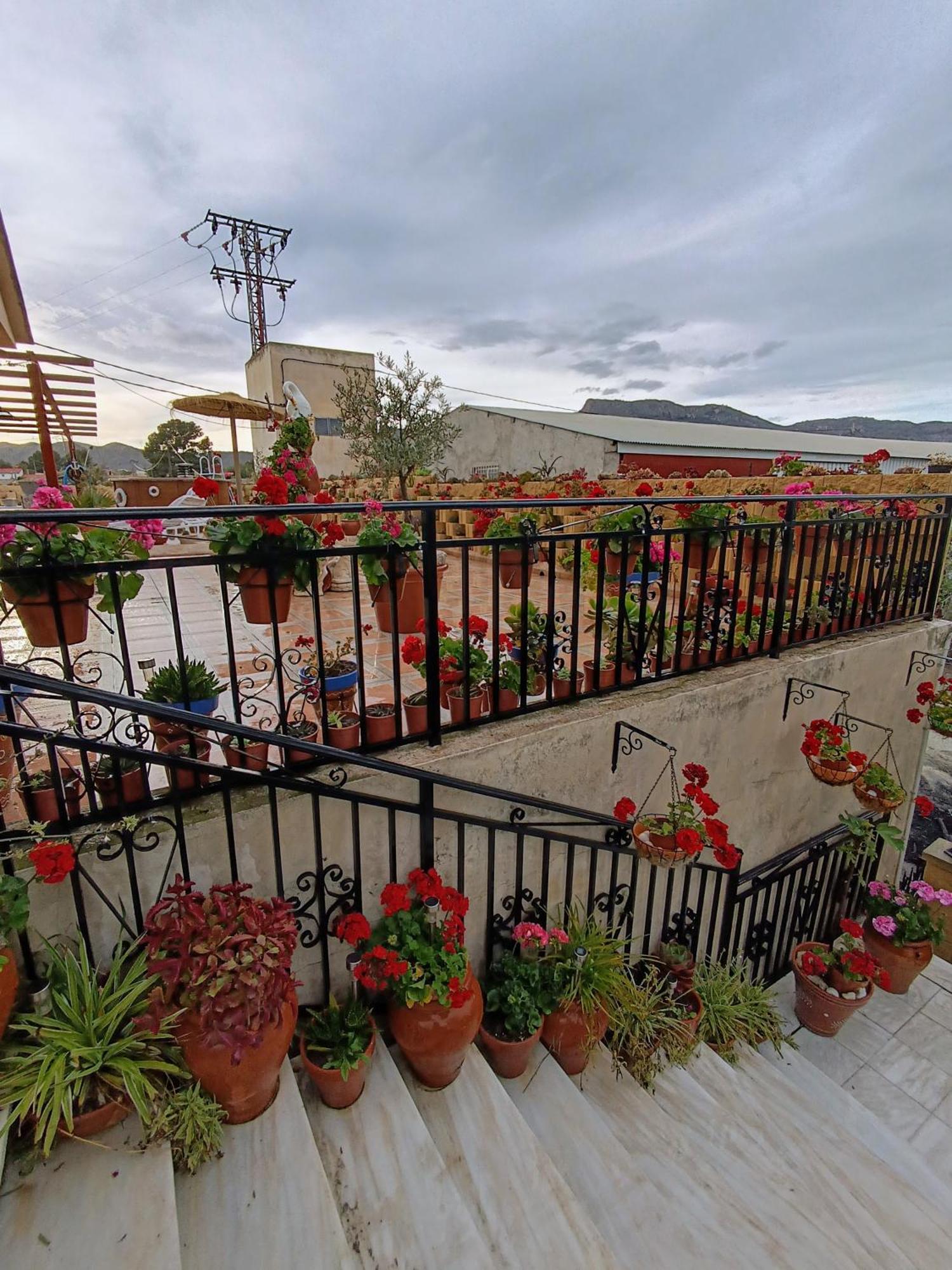 Casa Venta Ruizo *