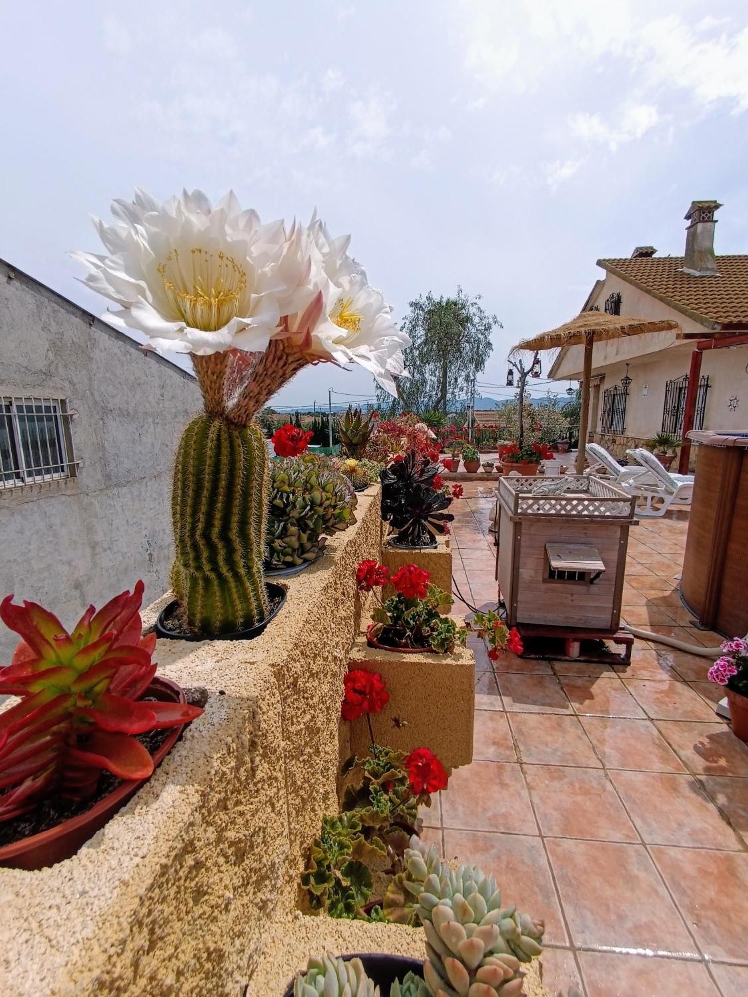 Hébergement de vacances Casa Venta Ruizo *